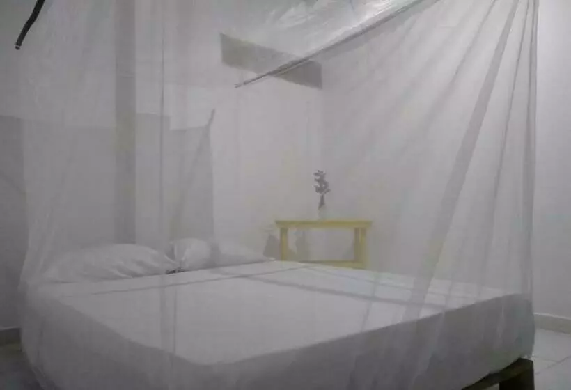 پانسیون Hostel In Palomino