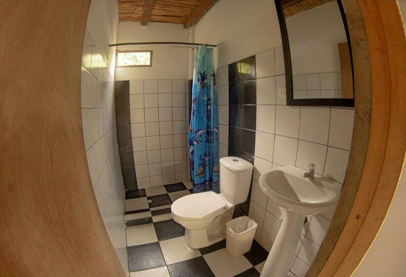 پانسیون Hostel In Palomino