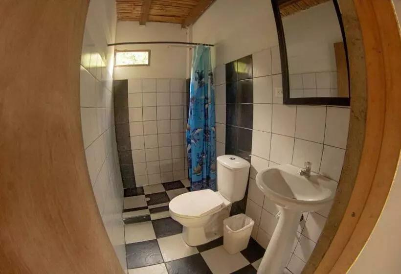 پانسیون Hostel In Palomino