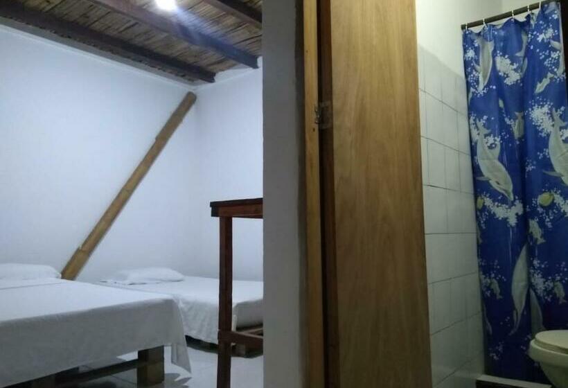 پانسیون Hostel In Palomino