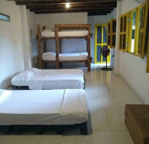 پانسیون Hostel In Palomino