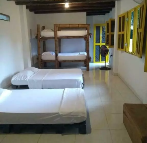 پانسیون Hostel In Palomino