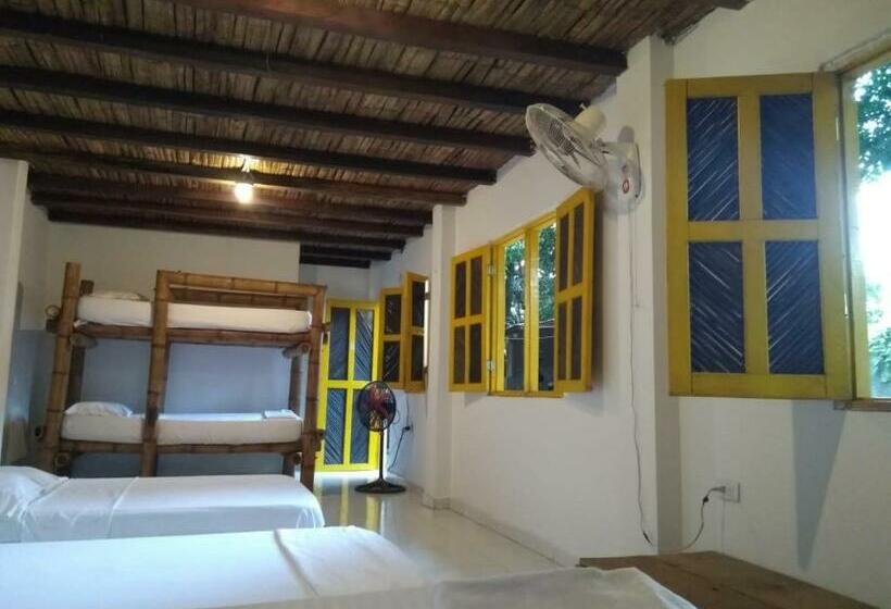 پانسیون Hostel In Palomino