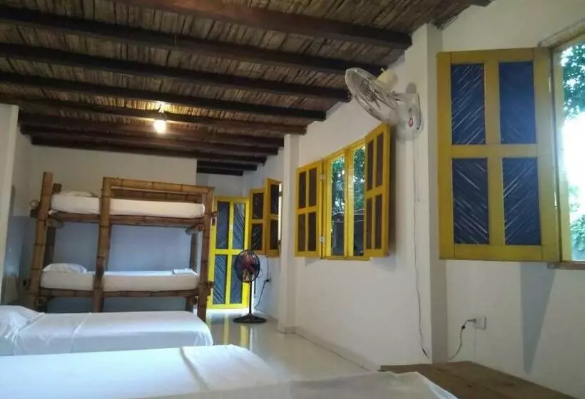 پانسیون Hostel In Palomino