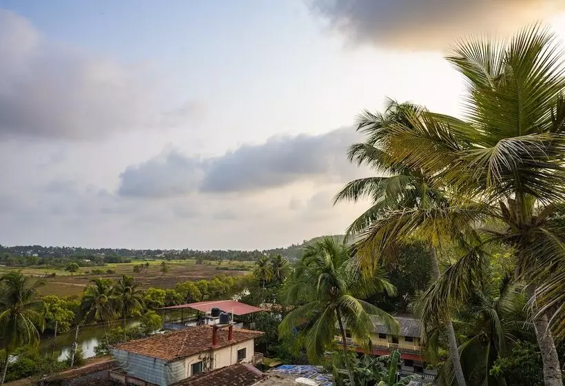 Auberge Gostops Goa, Baga
