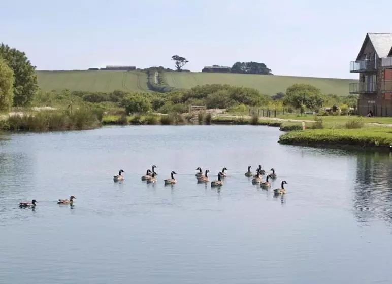 Waveside Waterside With Hot Tubresort Poolgym