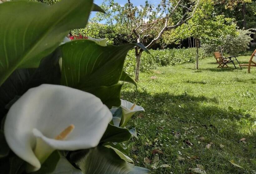 בית מלון כפרי Il Canto Degli Uccelli