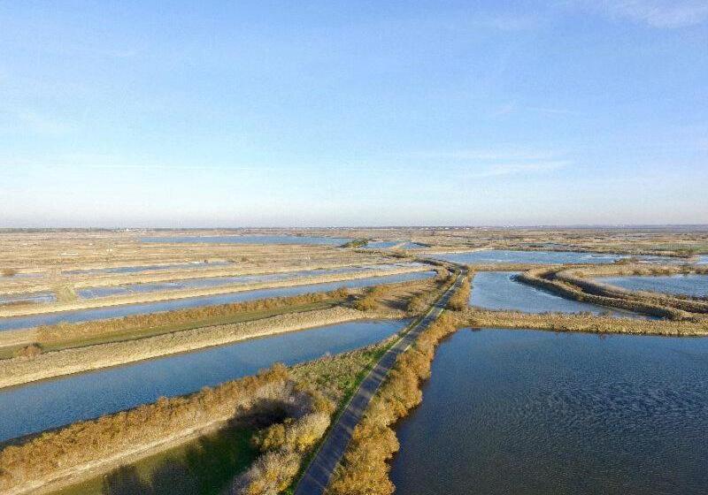 بنسيون Ma Chambre D Amis