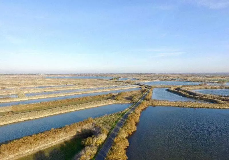 Majatalo Ma Chambre D Amis