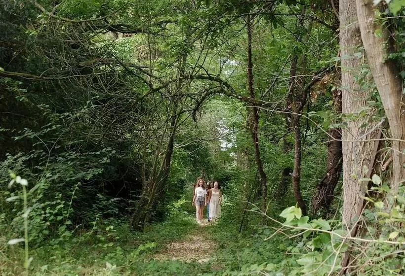 Aamiaismajoitus (B&B) Yxie   Manoir Des Arts