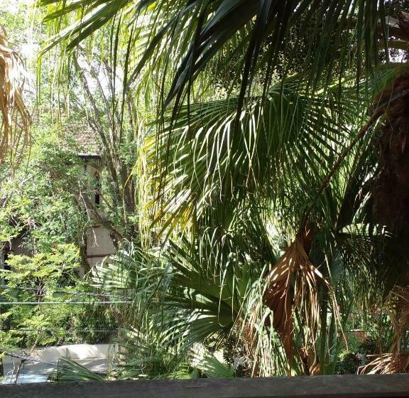 Bed & Breakfast Delta Inn Río Tigre