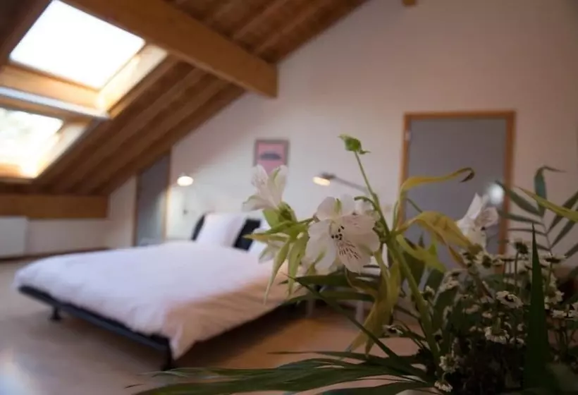 Hotelli Hôtel Du Vieux Moulin