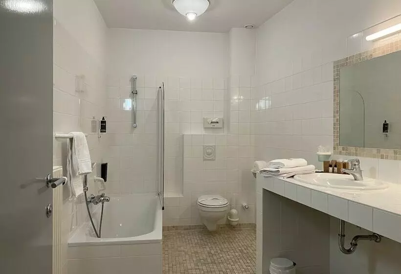 Hotelli Hôtel Du Vieux Moulin