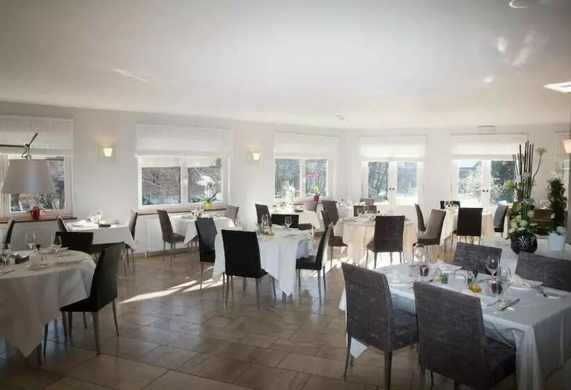 Hotelli Hôtel Du Vieux Moulin