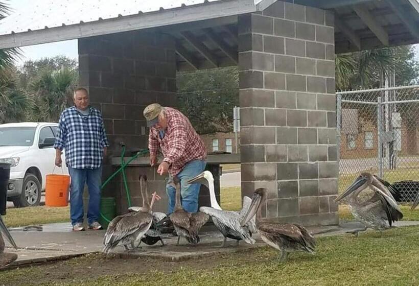 بنسيون Coastal Cottage Bay House