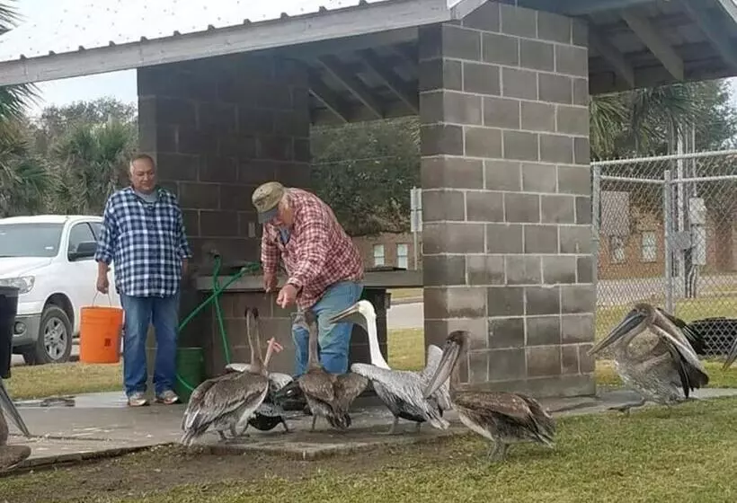 Majatalo Coastal Cottage Bay House