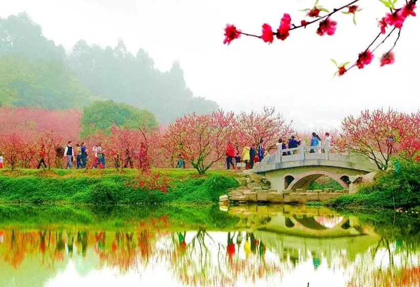 ホテル Fontainebleau