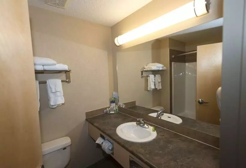 Hotel Lakeview Inns & Suites Fort Nelson