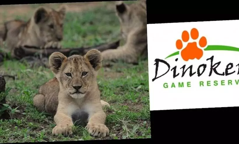 فندق Zebra Nature Reserve