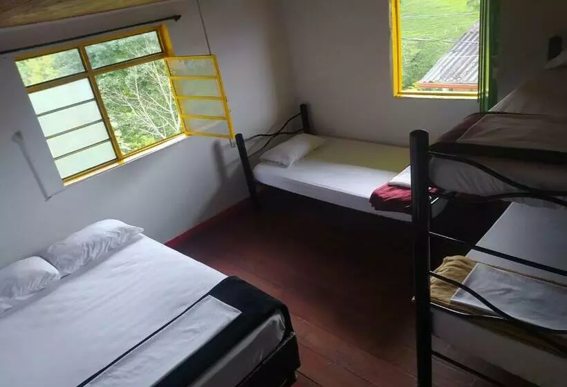 ペンション Palma De Cera Hostal