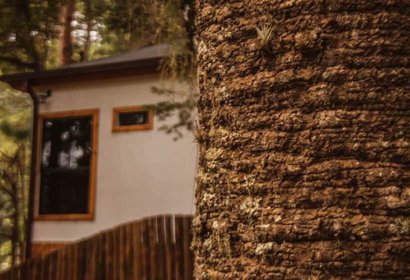 Hostel Estalagem Serra De Minas Em Monte Verde