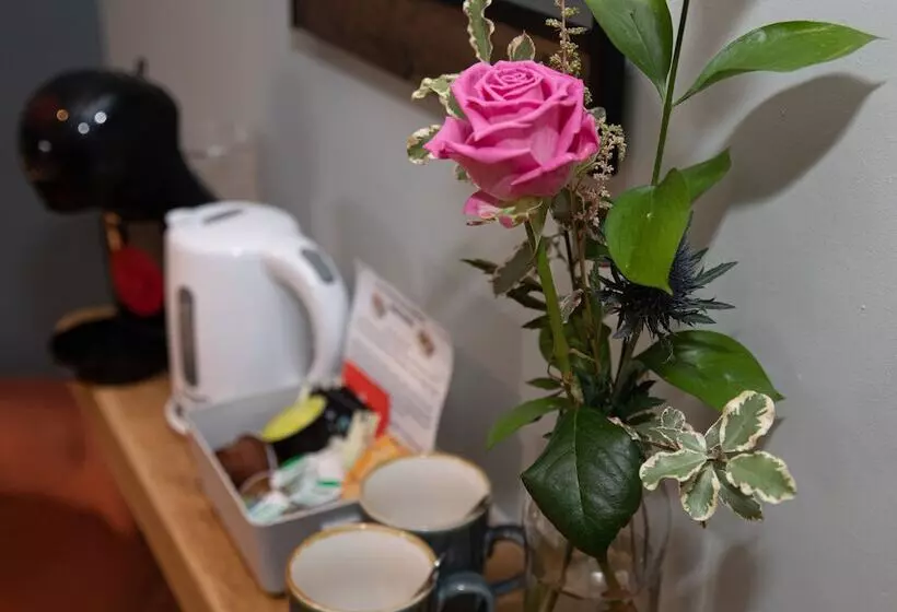 ユースホステル The Nog Inn