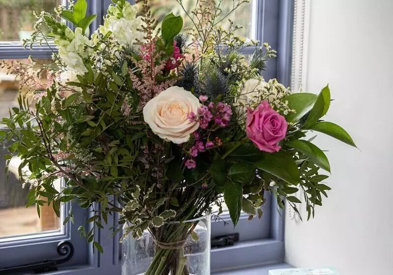 ユースホステル The Nog Inn