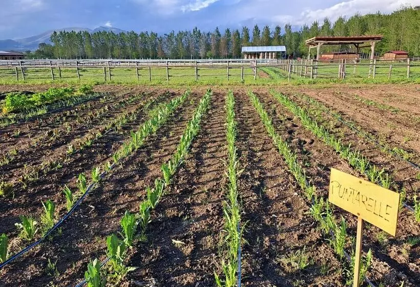 Hotelli Family Farm Soc. Agr. A R.l