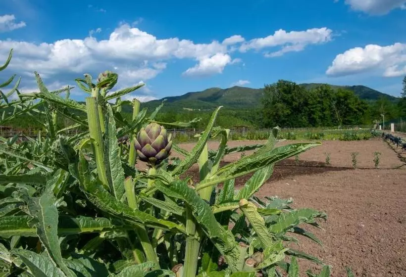 Hotelli Family Farm Soc. Agr. A R.l
