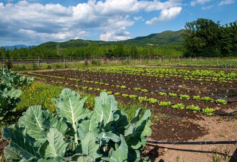 호텔 Family Farm Soc. Agr. A R.l