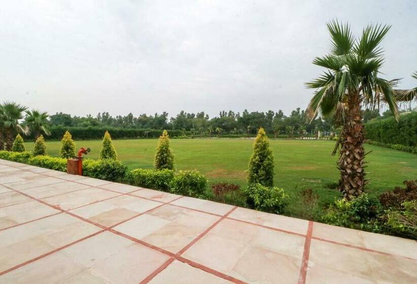 فندق Townhouse 930 Green Island Resort