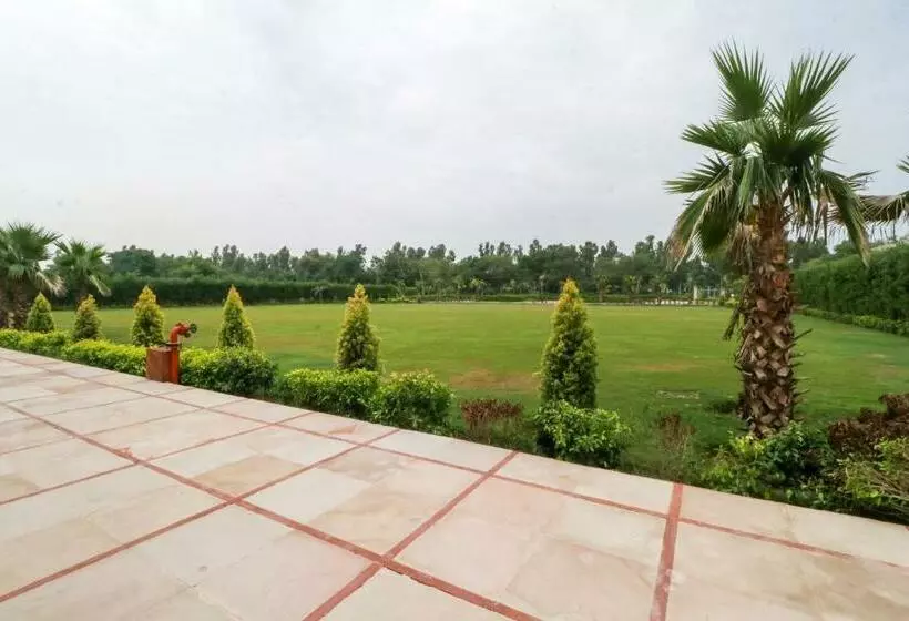 Hotelli Townhouse 930 Green Island Resort