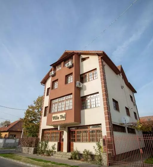 ペンション Vila Tei Guesthouse