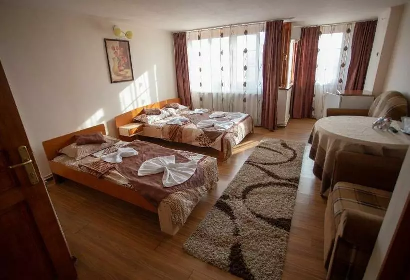 ペンション Vila Tei Guesthouse
