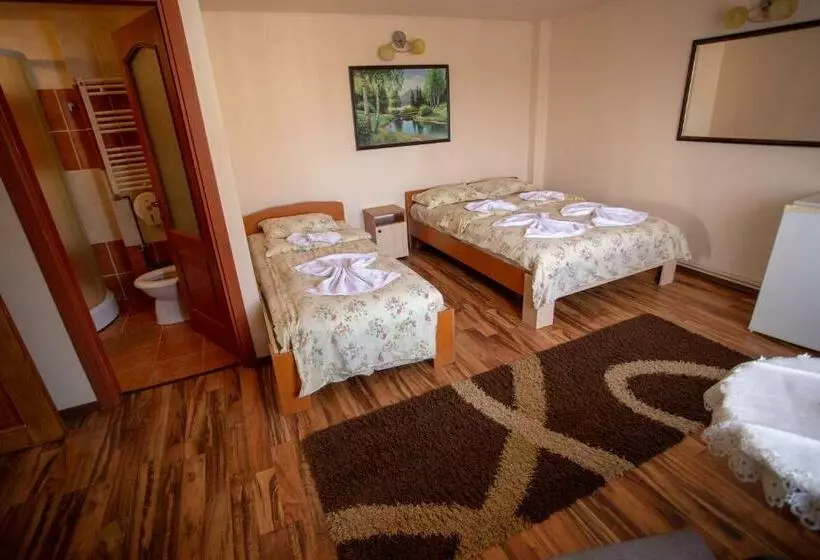 ペンション Vila Tei Guesthouse