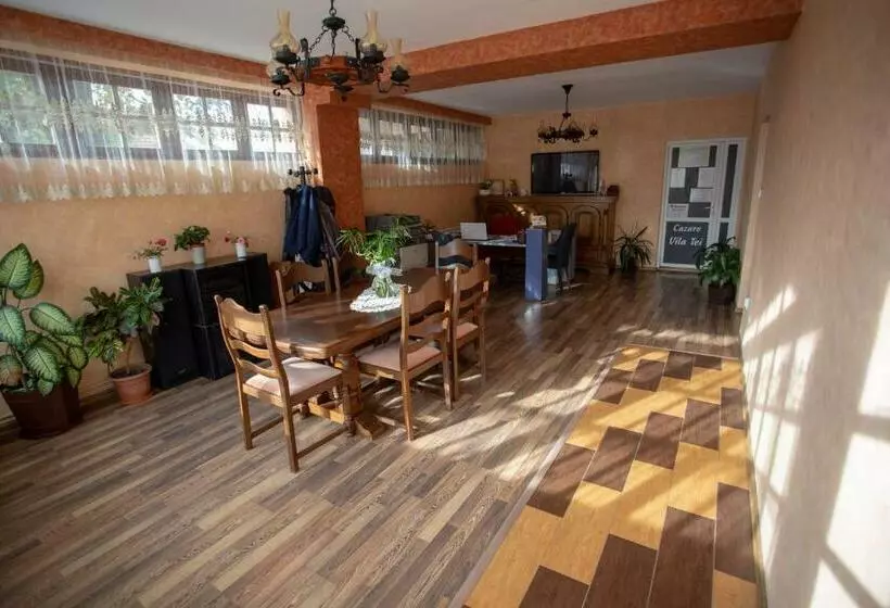 ペンション Vila Tei Guesthouse