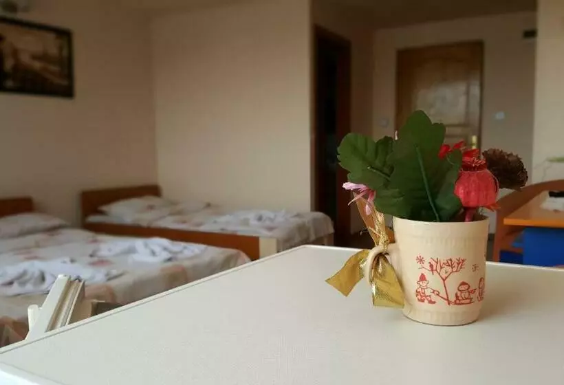 ペンション Vila Tei Guesthouse