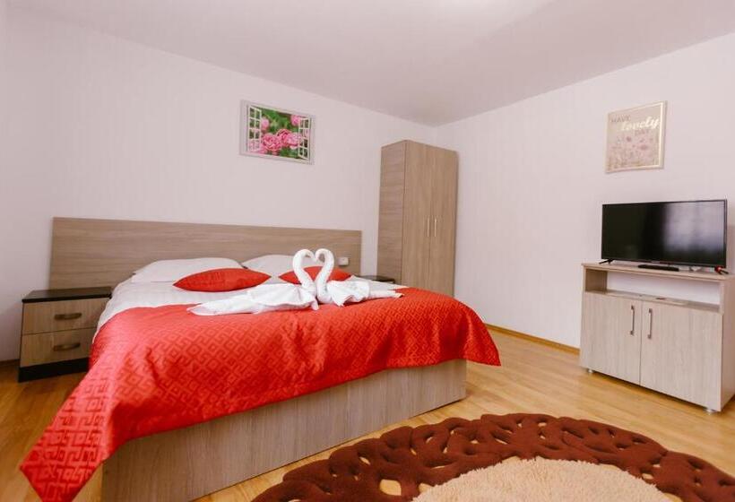 Pensiunea Luka Slanic Moldova