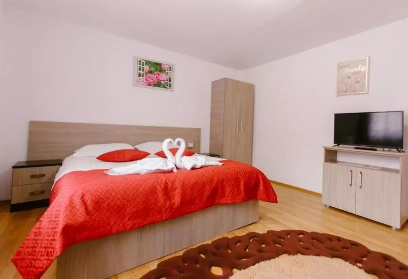 Pensiunea Luka Slanic Moldova