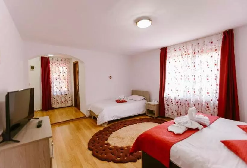 Pensiunea Luka Slanic Moldova