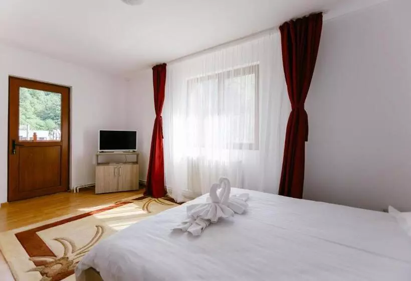 Pensiunea Luka Slanic Moldova