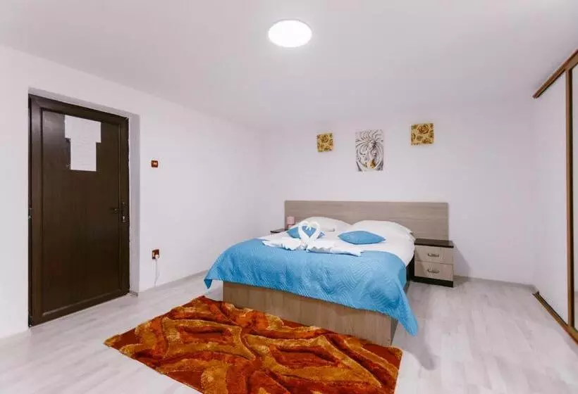 Pensiunea Luka Slanic Moldova