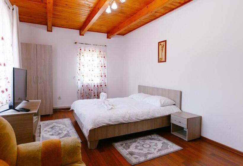 Pensiunea Luka Slanic Moldova