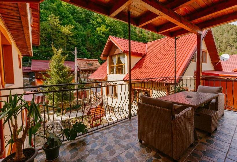 Pensiunea Luka Slanic Moldova