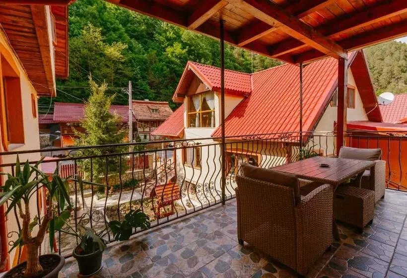 Pensiunea Luka Slanic Moldova