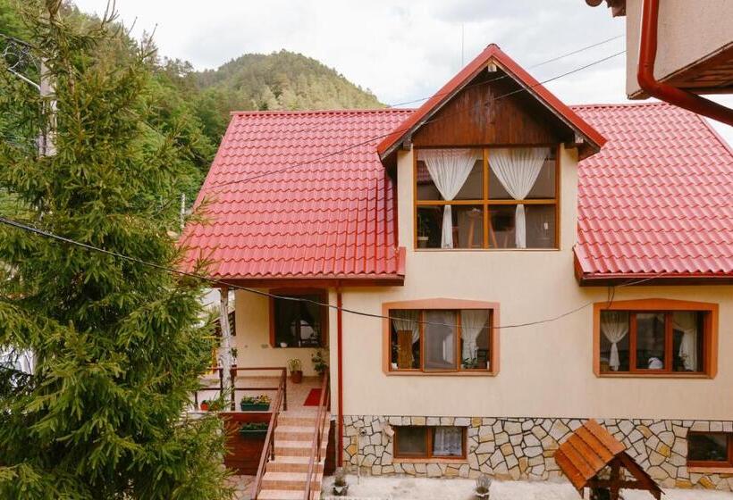 Pensiunea Luka Slanic Moldova