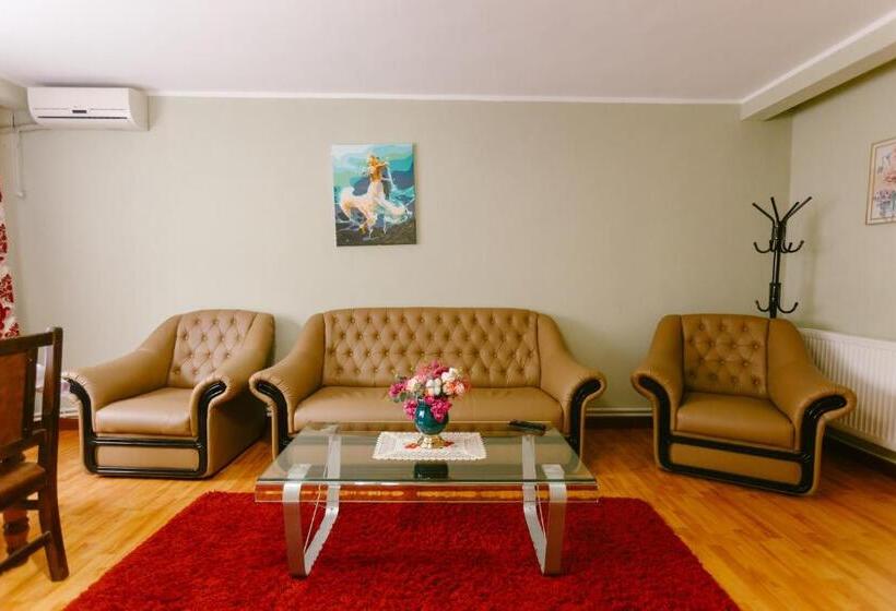 Pensiunea Luka Slanic Moldova