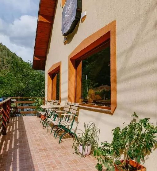 Pensiunea Luka Slanic Moldova