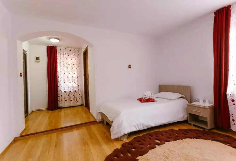 Pensiunea Luka Slanic Moldova