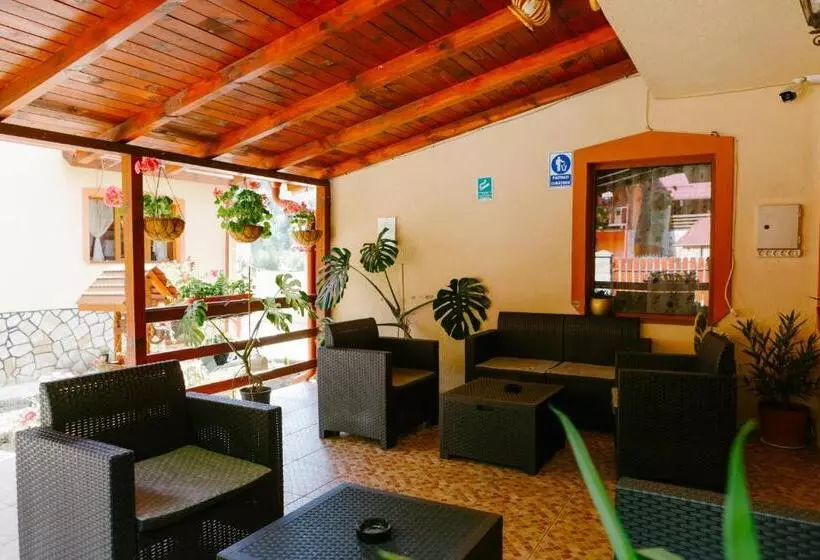 Pensiunea Luka Slanic Moldova